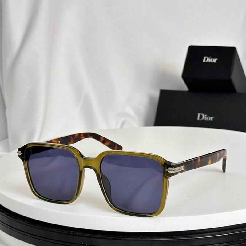 DIOR Sunglasses 285